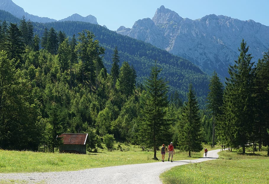 hiking, mtb, forest, mountains, sunshine, hut, karwendel, trees HD wallpaper