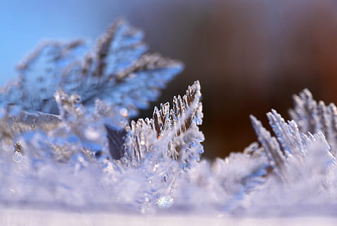 ice, crystal, winter, cold temperature, snow, nature, frozen HD wallpaper
