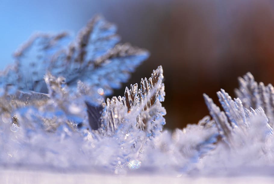 Зима холодной стали. Кристаллы льда. Фото снежинок в природе. Огромные снежинки в природе. Кристаллы льда фото.