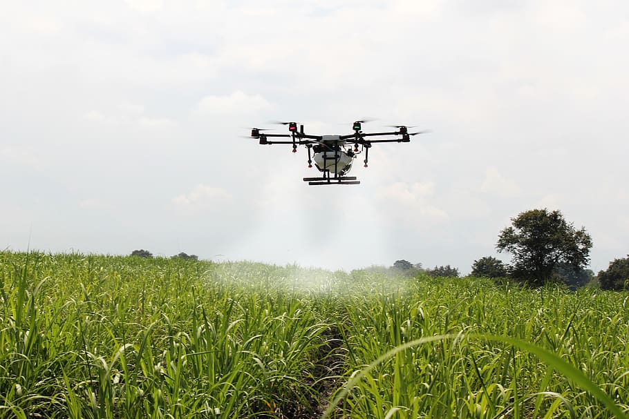 spraying sugar cane, drone farm, colombia, agriculture, cultivation