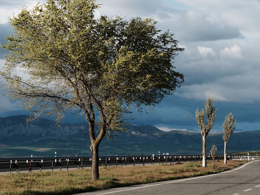 motorway, highway, road, trees, clouds, mountains, green, plant HD wallpaper