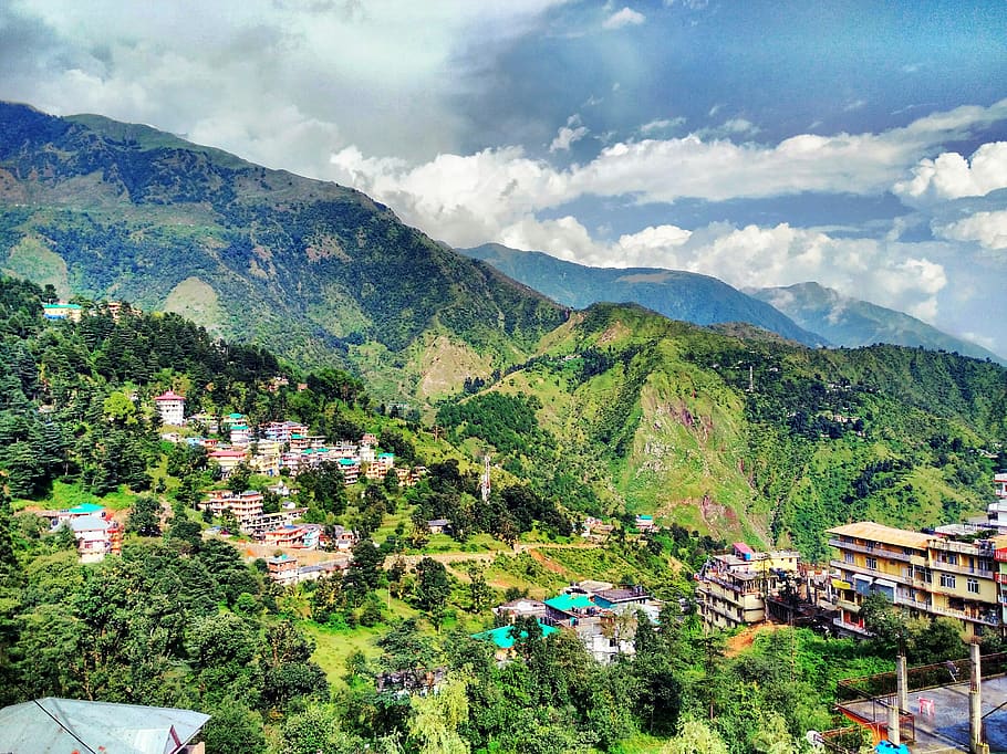 Aerial View of the Village, architecture, clouds, forest, houses HD wallpaper