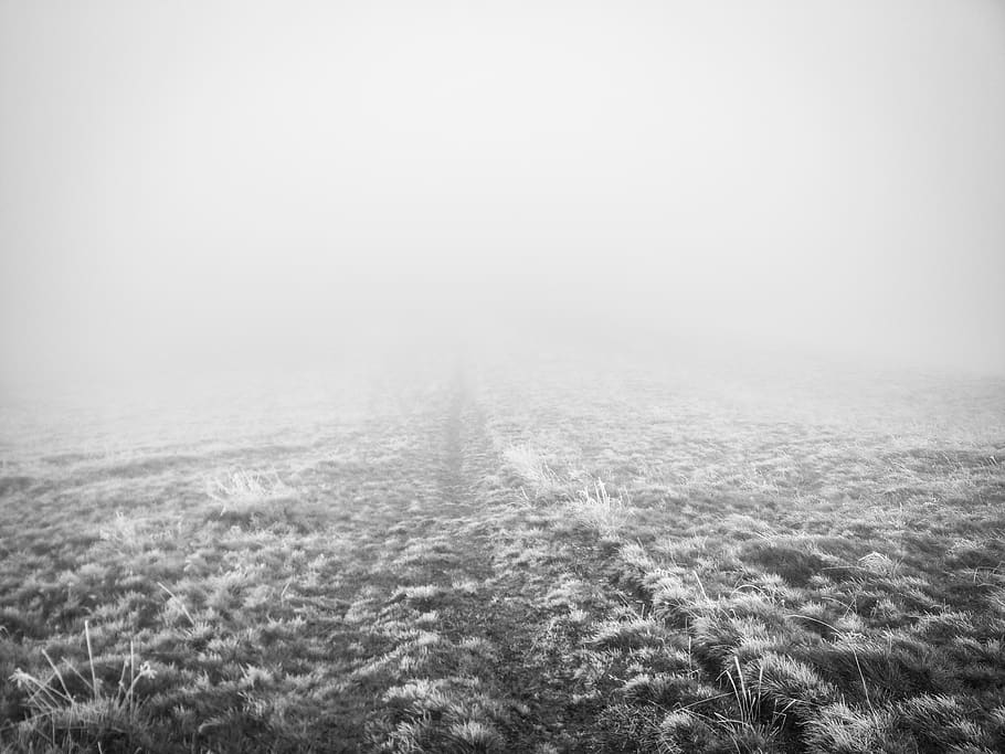 fog, ze, cold, colder, winter, foggy, mountain, dark, gray HD wallpaper