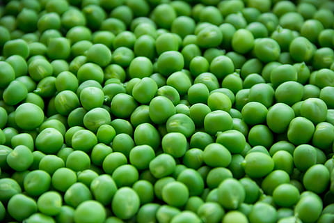 Full Frame Shot of Green Peas, background, beans, close-up, diet HD wallpaper