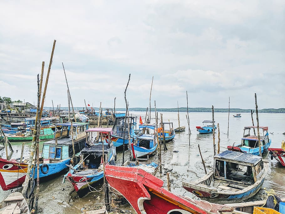 boat lot, vehicle, transportation, vessel, watercraft, marina HD wallpaper