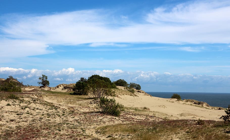 sky, blue sky, clouds, sand, the bushes, shrub, sea, nature HD wallpaper