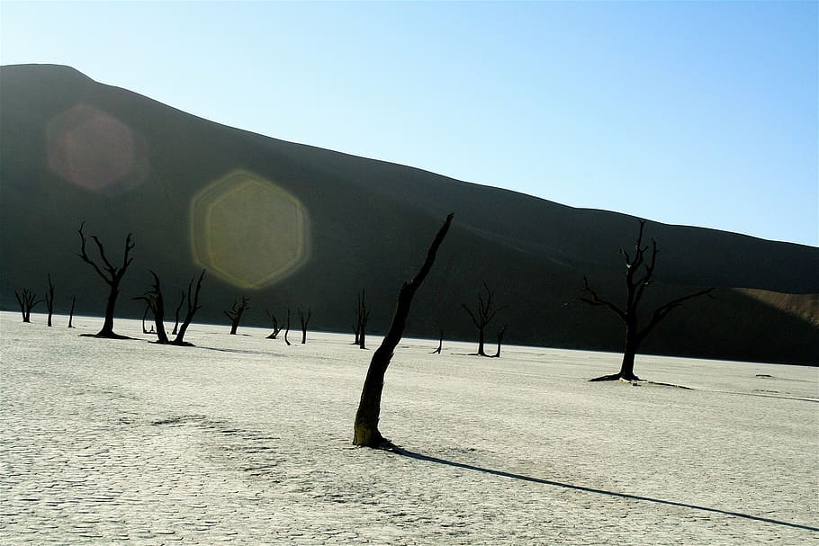 namibia, namib naukluft park, sossusvlei sand dunes, salt pan, HD wallpaper