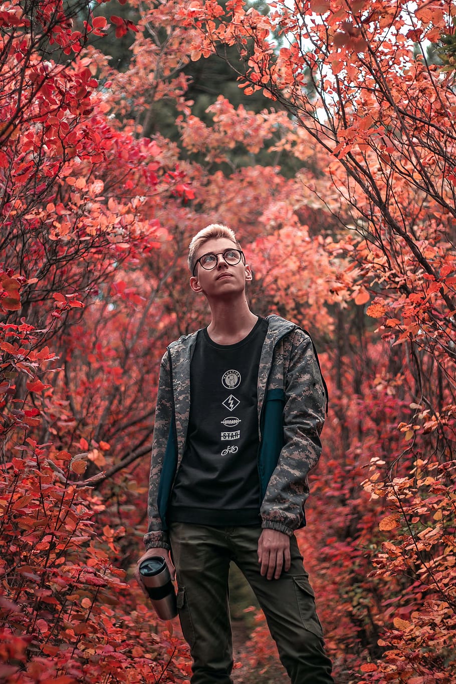 man in between trees, plant, one person, autumn, leisure activity HD wallpaper