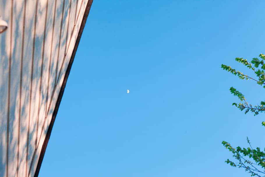 blue, sky, nature, twilight, moon, space, afternoon, golden hour HD wallpaper