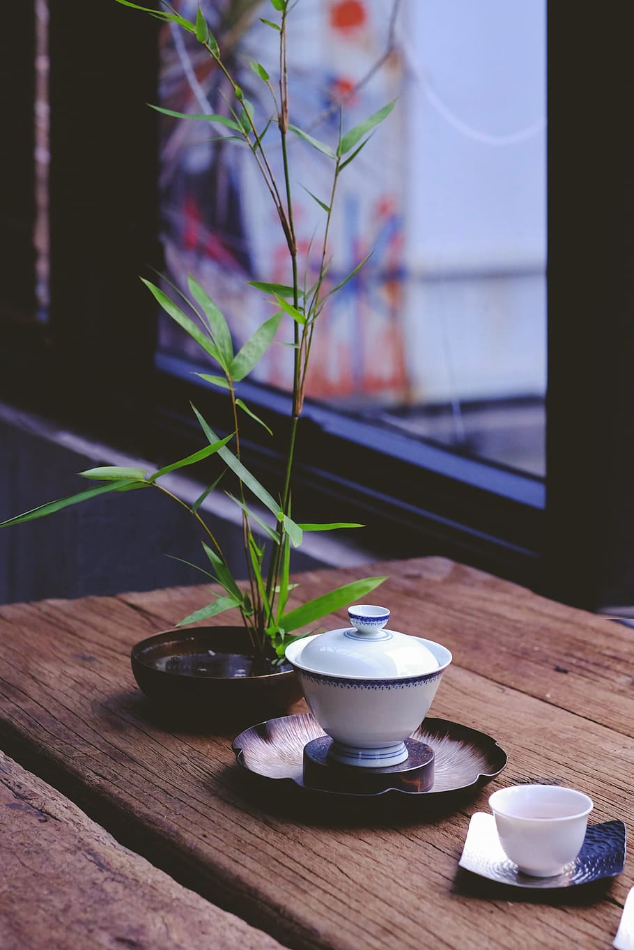 white ceramic bowl on table, indoors, plant, no people, wood - material HD wallpaper