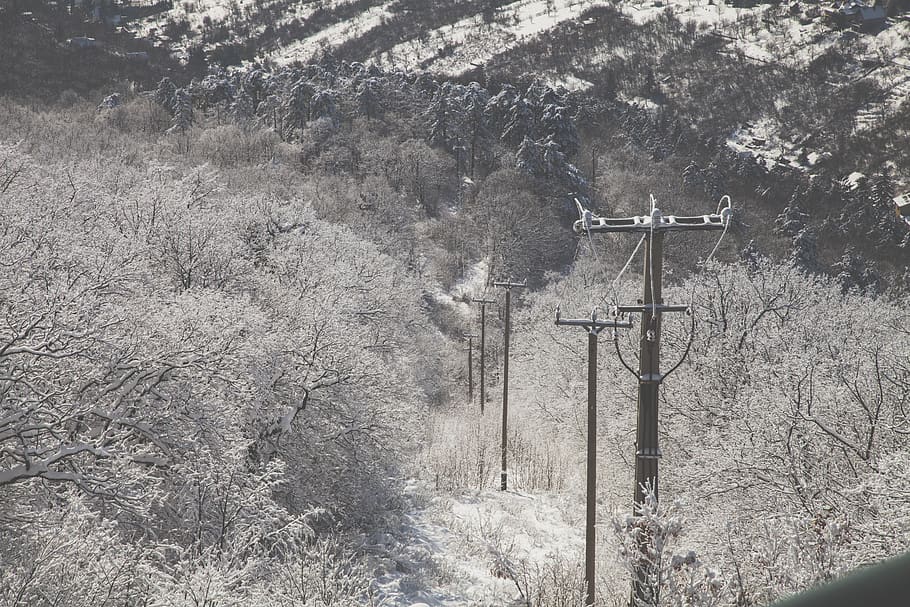 Photo of Electricity Transmission Surrounded With Trees, cold HD wallpaper