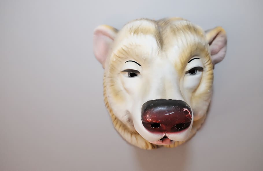 mask, indoors, studio shot, close-up, representation, animal representation HD wallpaper