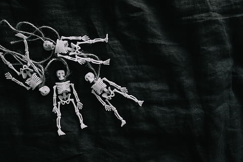 Online crop | HD wallpaper: human skull photography, head, skeleton ...