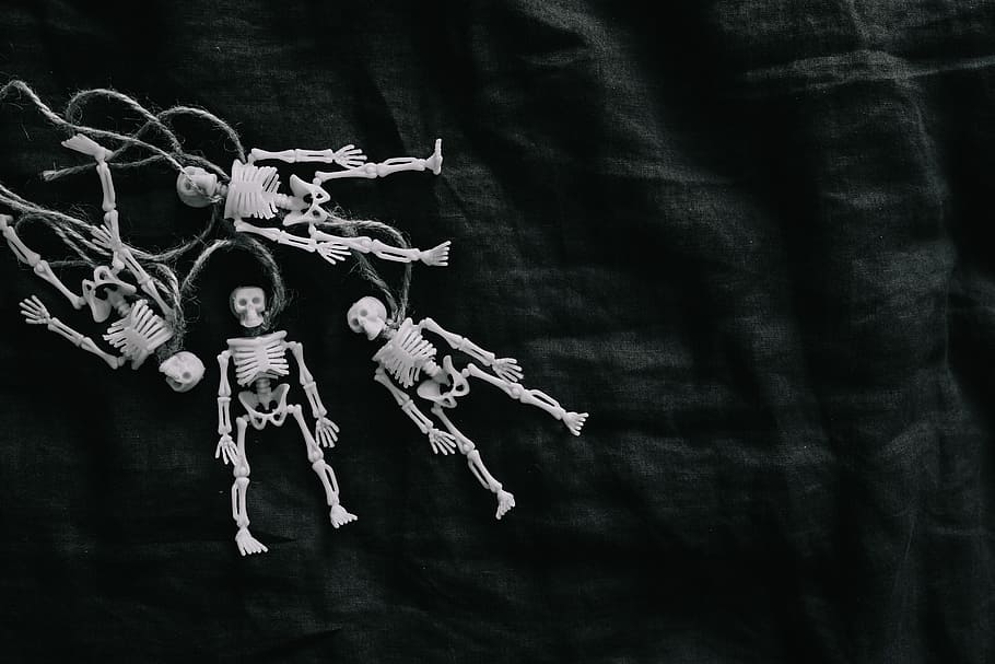 Halloween - Human skeleton miniatures, toy, skull, spooky, october, HD wallpaper
