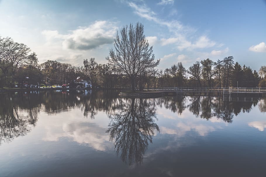 Reflection of Trees on Body of Water, clouds, daylight, environment HD wallpaper