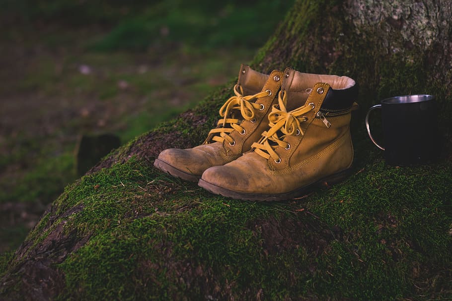 brown, cups, green, moss, shoes, trees, wood, yellow, grass HD wallpaper