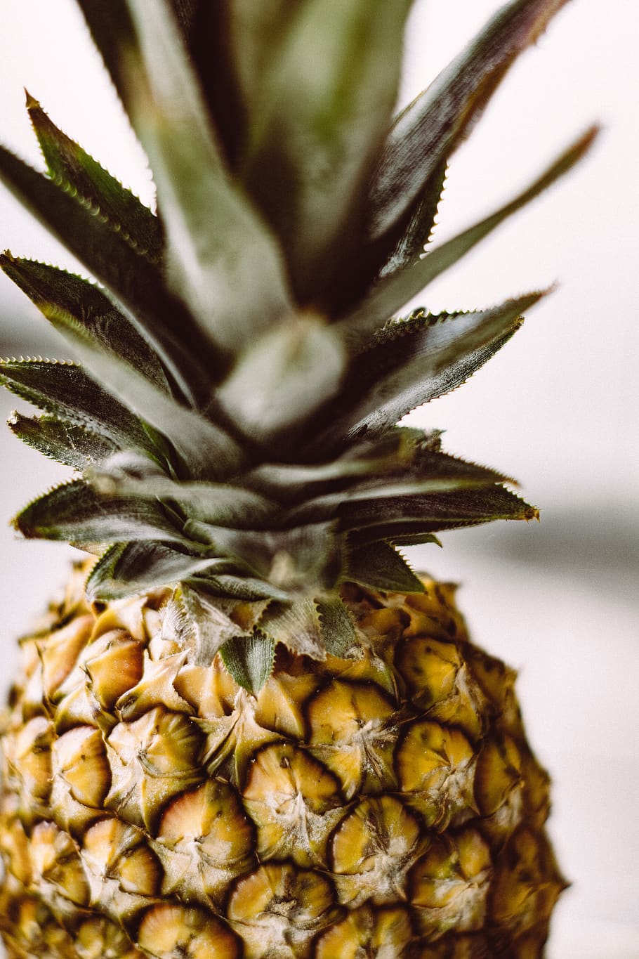 pineapple, dessert, appetizer, fruit, juice, crop, tropical fruit HD wallpaper