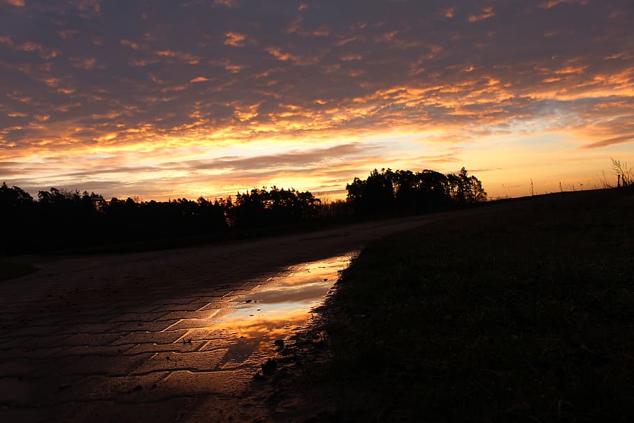 germany, nature, sunset, forest, reflection, sunrise, sky, cloud - sky HD wallpaper