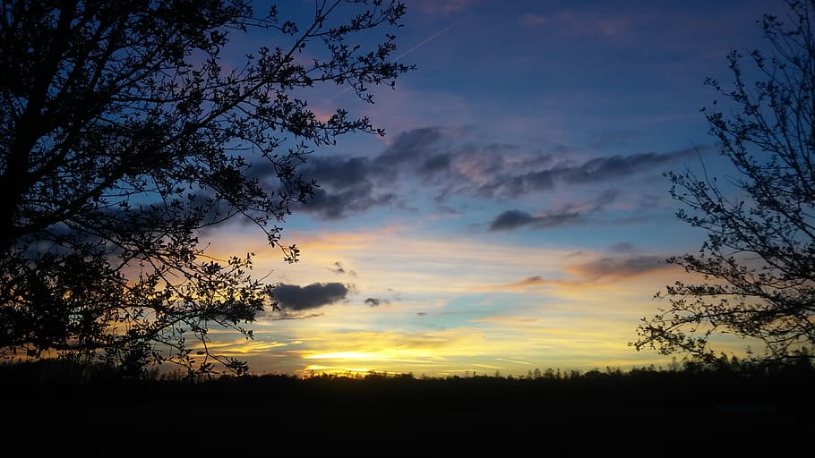 sky, sunset, cloud - sky, tree, plant, beauty in nature, tranquility HD wallpaper