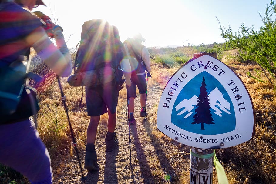 Pacific Crest Trail sign, communication, real people, text, nature HD wallpaper