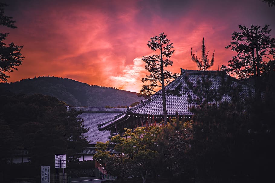 gray roofed temple surrounded with trees, sunset, dusk, sunrise HD wallpaper