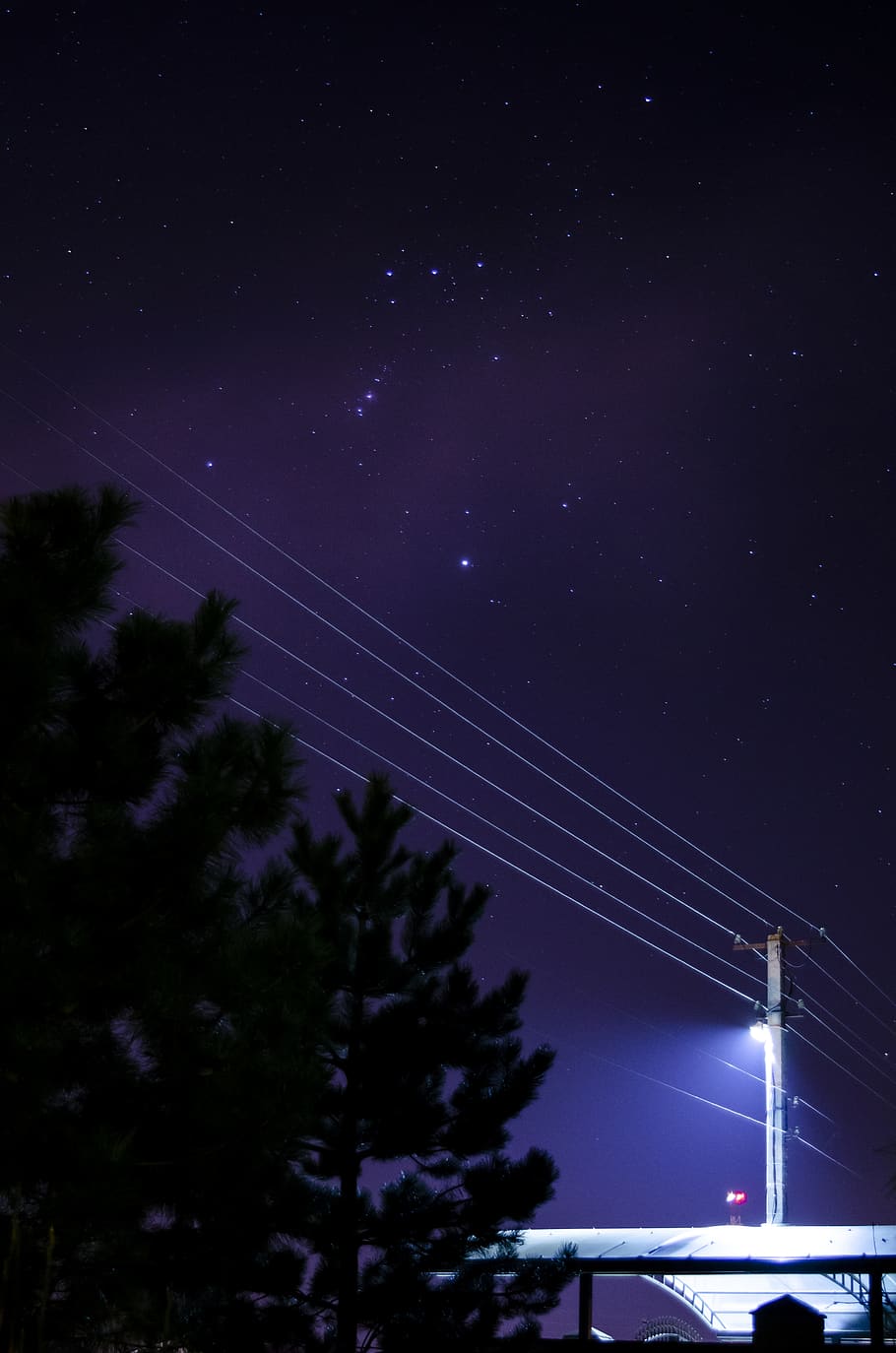 nature, night, outdoors, tree, krasnodar, russia, countryside HD wallpaper