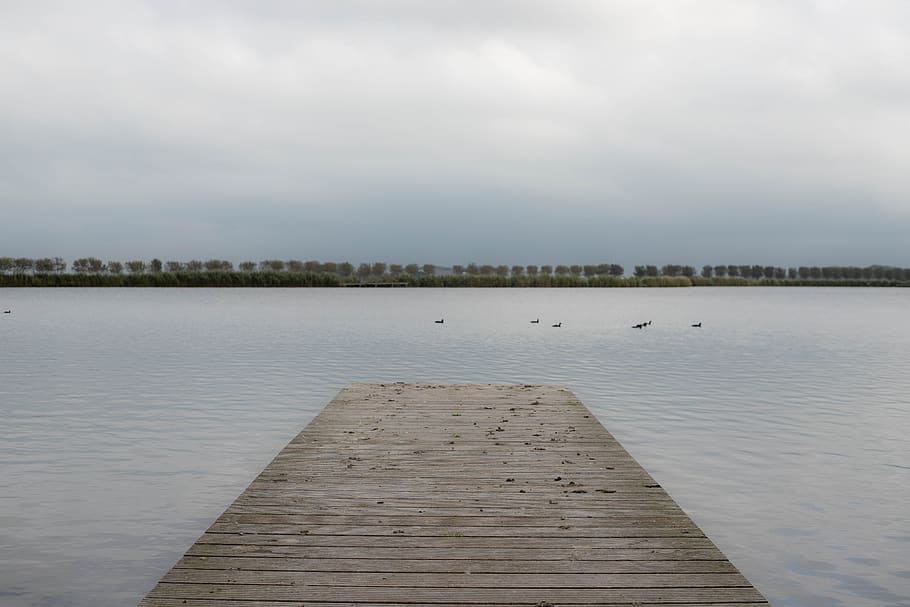 more, deck, view, silence, serene, birds, landscape, heaven HD wallpaper