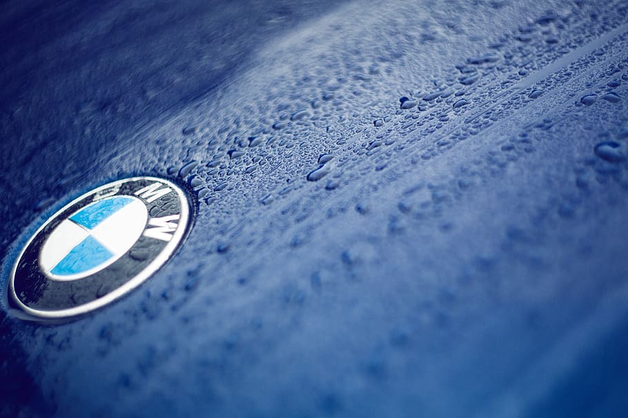 BMW logo, blue, close-up, no people, selective focus, circle HD wallpaper
