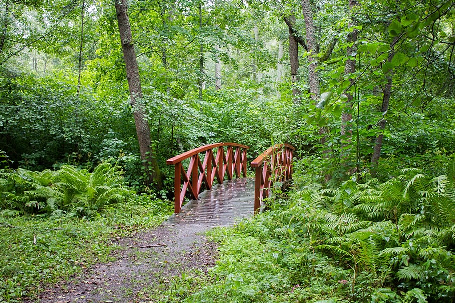 bridge, red, green, nature, landscape, trees, forest, plant HD wallpaper