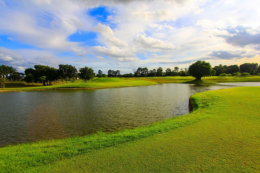 golf course, grass, sky, plant, tree, water, cloud - sky, lake HD wallpaper