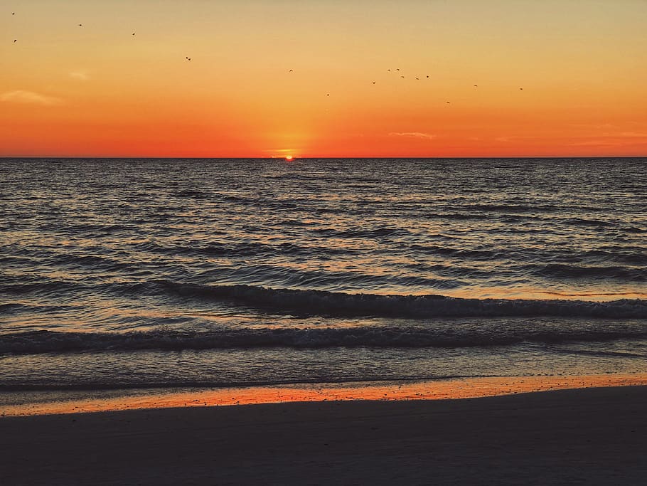 united states, siesta key, water, ocean, florida, sunset, beach, HD wallpaper