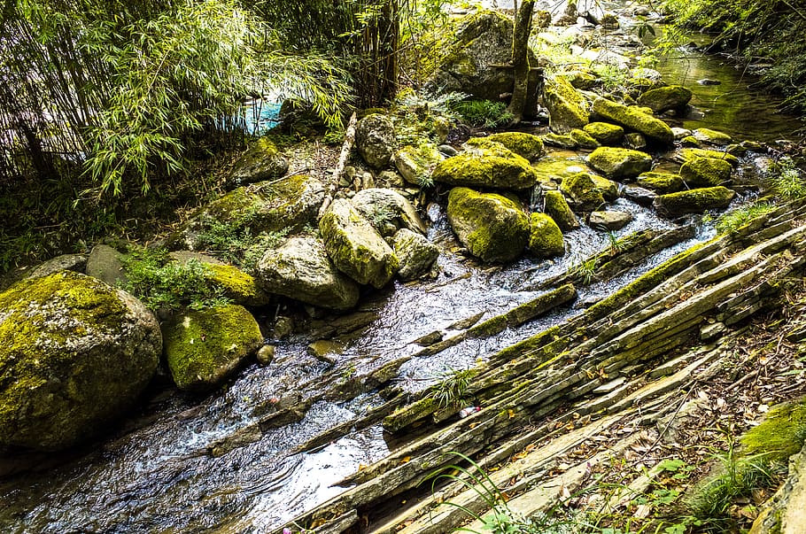 creek, moss, fall, landscape, flow, brook, natural, green, rock HD wallpaper