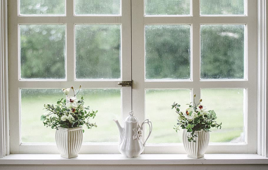 white, window, glass, shield, frame, flower, vase, display HD wallpaper