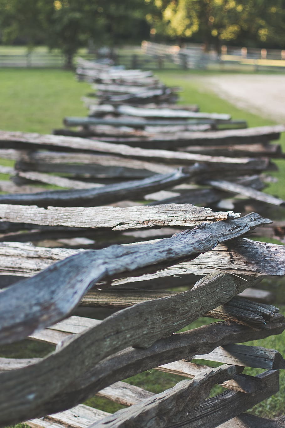Selective Focus Photography Pile of Firewood, close-up, daylight HD wallpaper
