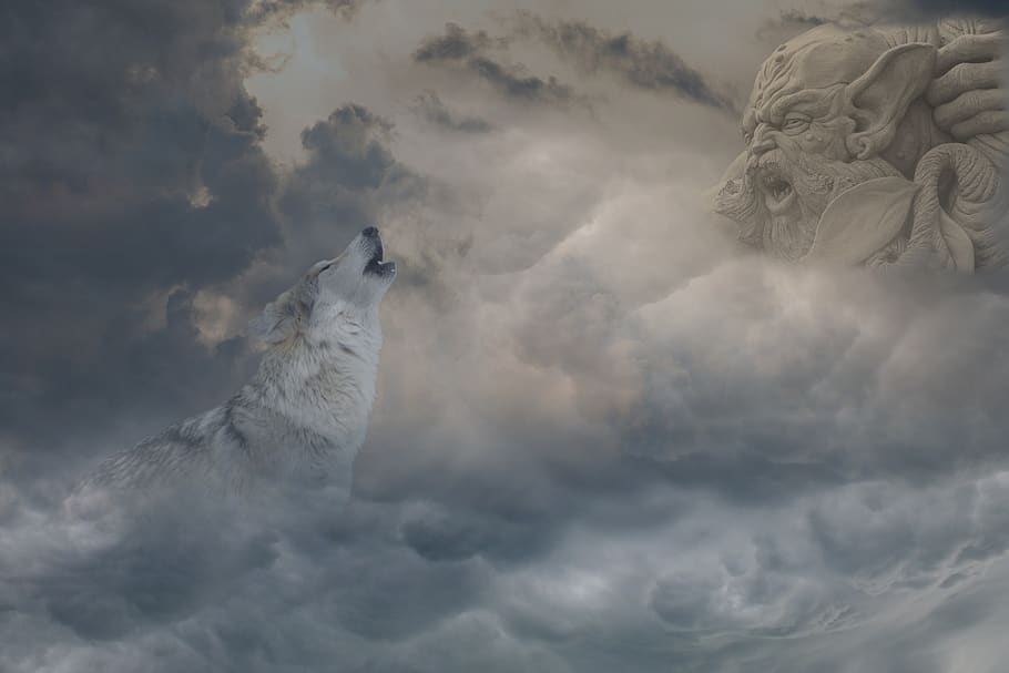 winter, forward, nature, sky, clouds, cloudiness, fog, dramatic HD wallpaper