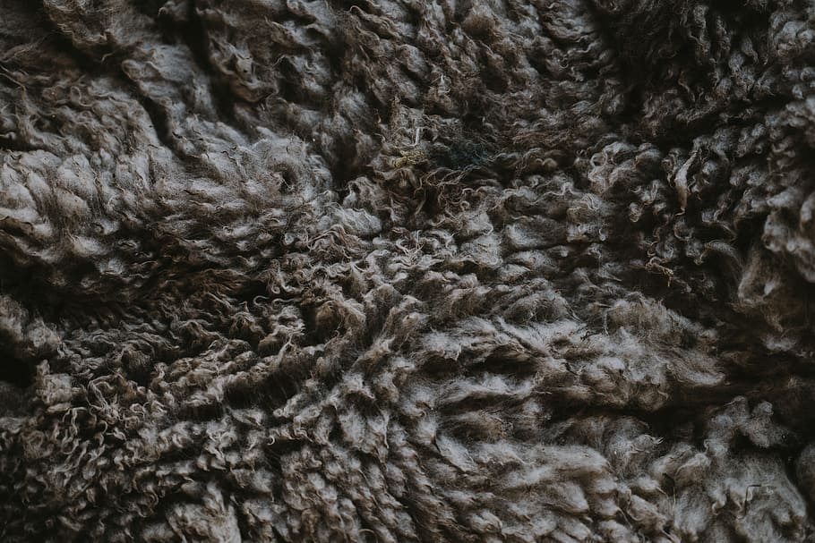 gray textile, wool, texture, fabric, fleece, material, pattern