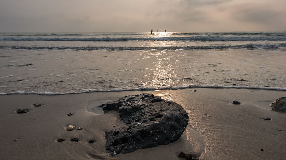 sea, surfer, denmark, ocean, water, wave, nature, beach, landscape HD wallpaper