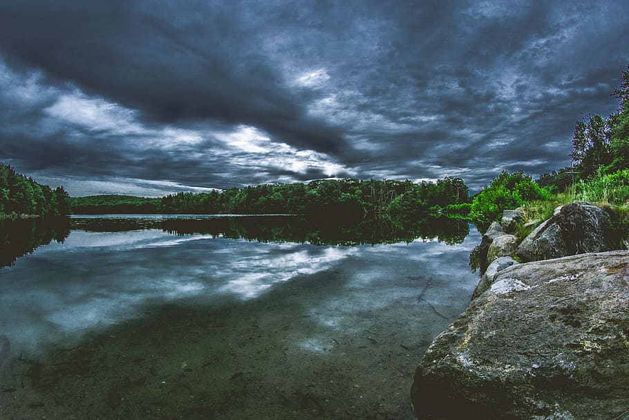 body of water surrounded by trees under cloudy sky, lake, moody