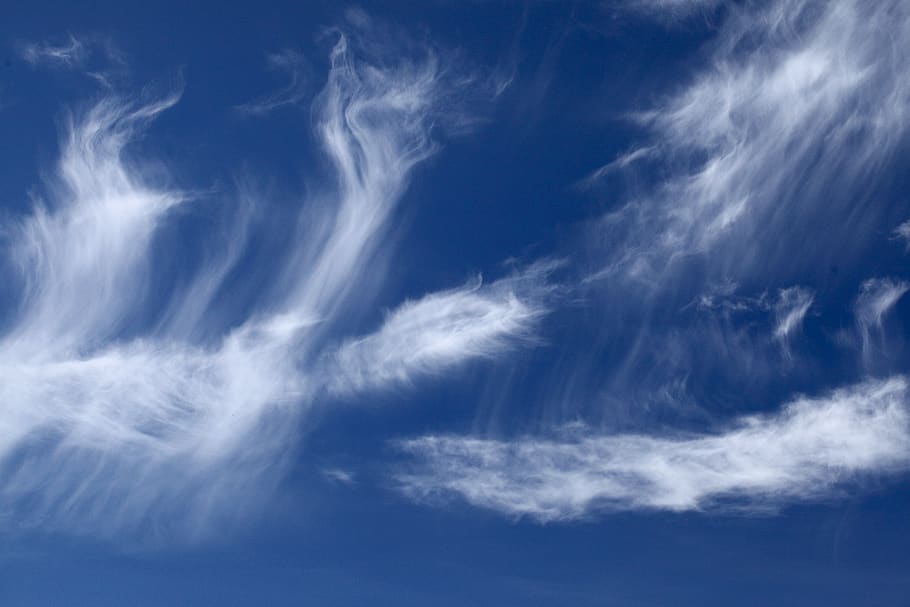 nature, sky, clouds, feathery clouds, the delicacy, weather