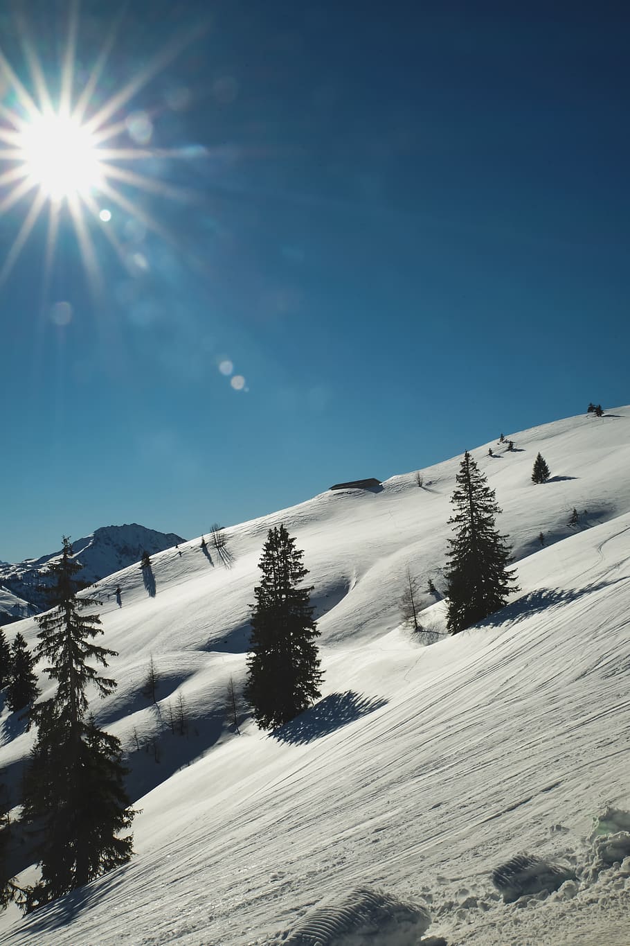 wintry, snow, nature, snowy, white, winter mood, idyllic, alpine HD wallpaper