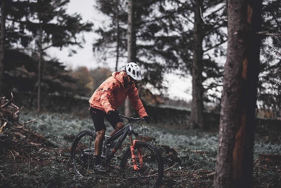 man driving bike in the forest, bicycle, vehicle, transportation