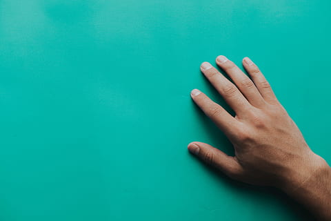 Person's Right Hand, abstract, close-up, fingernails, fingers HD wallpaper