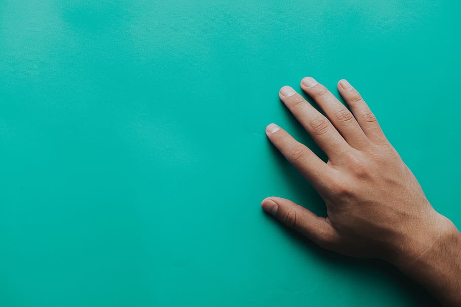 Person's Right Hand, abstract, close-up, fingernails, fingers HD wallpaper