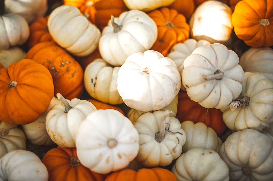 stacked white and orange pumpkins, food and drink, vegetable HD wallpaper