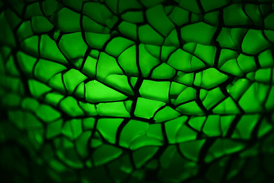 green wallpaper, light, ornament, lighting, plant, flora, backgrounds HD wallpaper