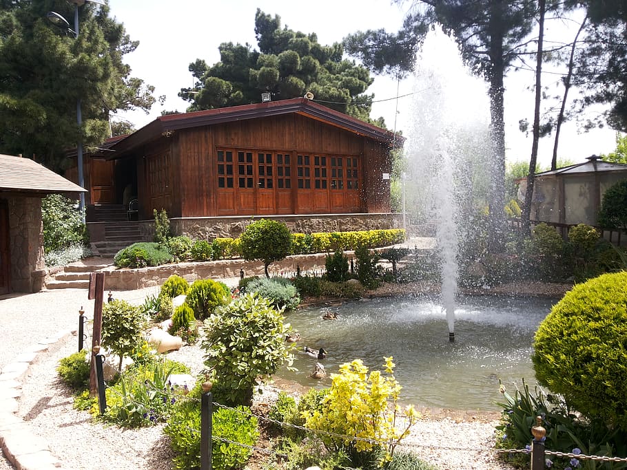 birds park, water, architecture, plant, tree, built structure HD wallpaper