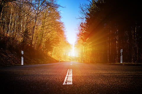 road, forest, trees, nature, away, target, light, sun, sunbeam HD wallpaper