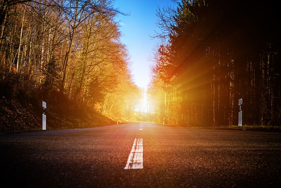 road, forest, trees, nature, away, target, light, sun, sunbeam HD wallpaper