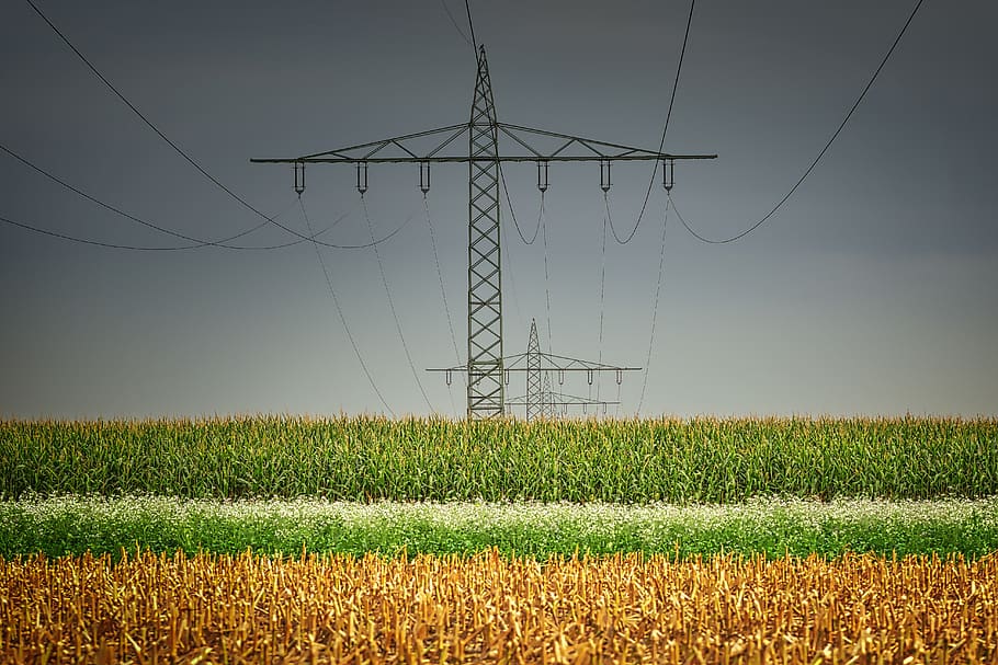 current, mast, field, cereals, energy, cable, voltage, power line HD wallpaper