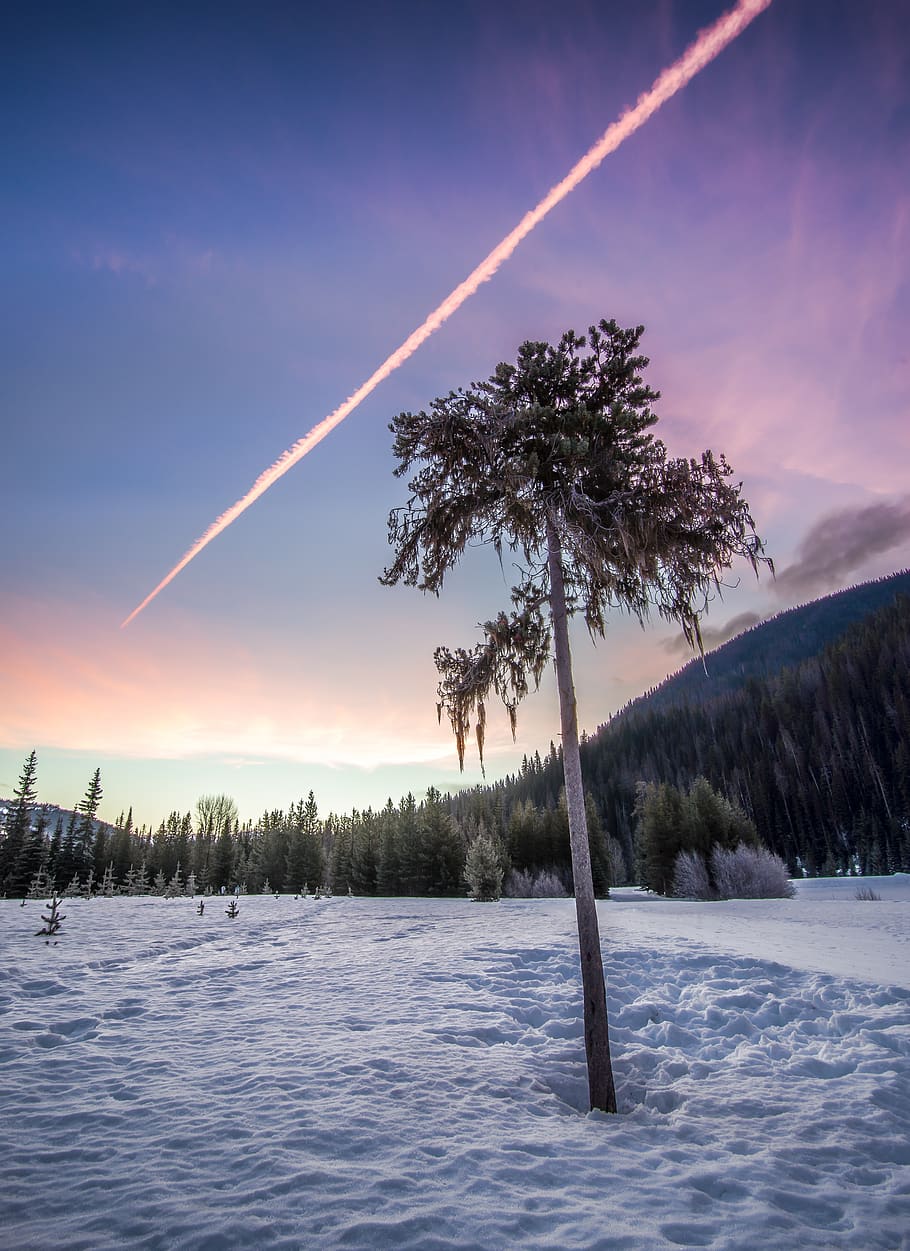 british columbia, canada, clouds, dynamic, hiking, manning park HD wallpaper